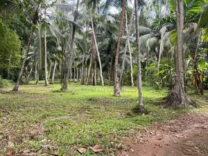 1 Acre Land for Sale in Ahugammana, Delgoda