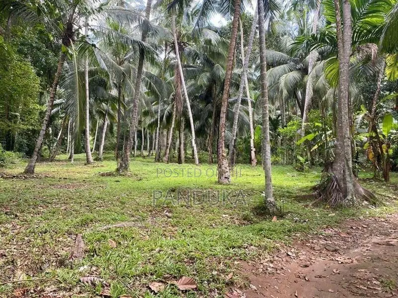 1 Acre Land for Sale in Ahugammana, Delgoda