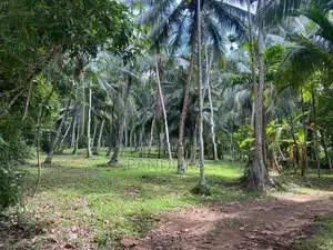 1 Acre Land for Sale in Ahugammana, Delgoda