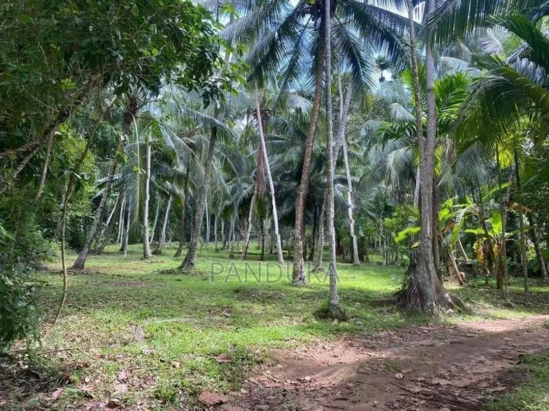 1 Acre Land for Sale in Ahugammana, Delgoda