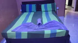 11 BR Furnished Property for Rent in Dehiwala – PDC143