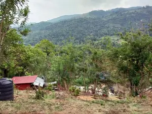6 Acre Scenic Agricultural Land for Sale Thalathuoya, Kandy.