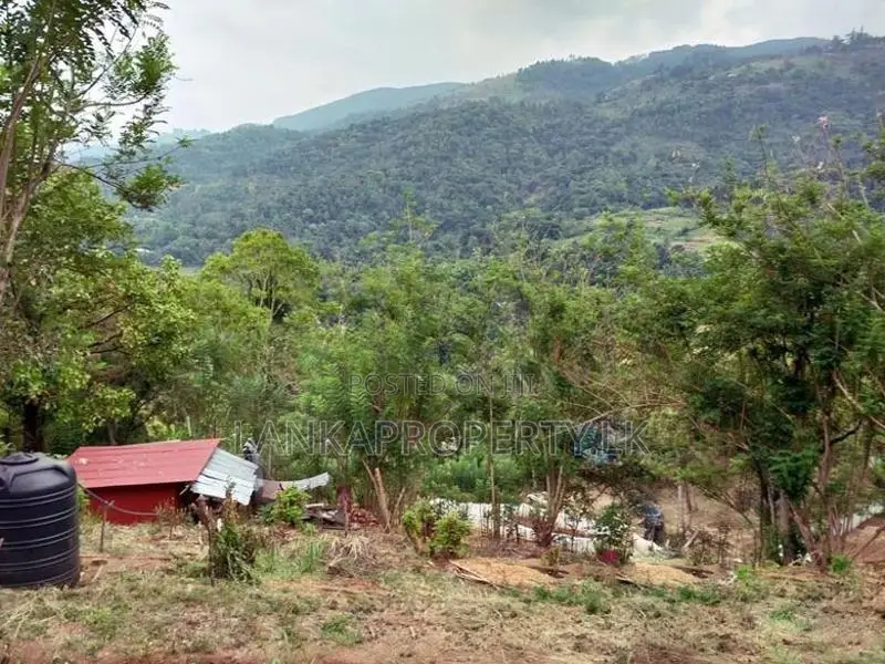 6 Acre Scenic Agricultural Land for Sale Thalathuoya, Kandy.
