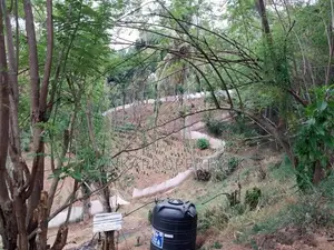 6 Acre Scenic Agricultural Land for Sale Thalathuoya, Kandy.
