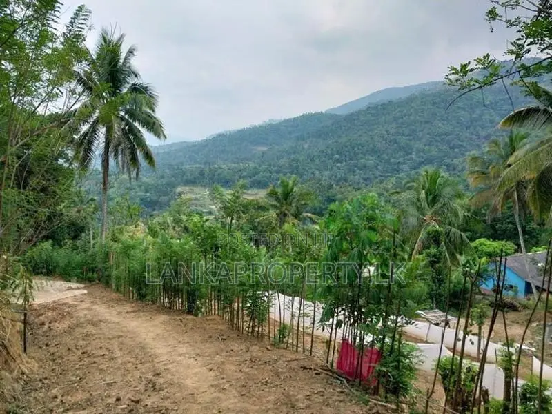6 Acre Scenic Agricultural Land for Sale Thalathuoya, Kandy.