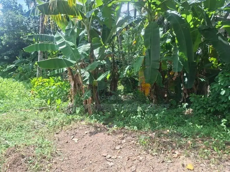 වටිනා පර්චස් 7ක ඉඩමක් මහරගම නගරයෙන් විකිනීමට