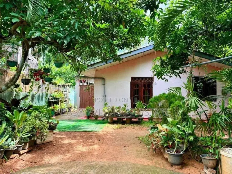 පනාගොඩ දැඩිහමුව ජය මාවතෙන් අංගසම්පූර්ණ නිවස හා Annex එකක්