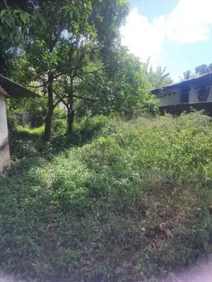 Land For Sale In Boralesgamuwa werahera