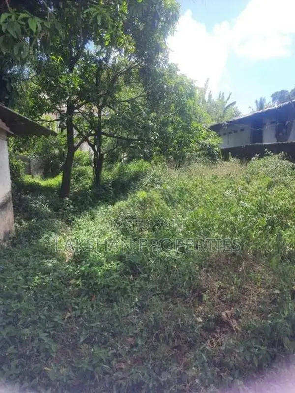 Land For Sale In Boralesgamuwa werahera