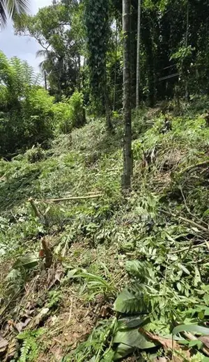 Land For Sale In Kegalle