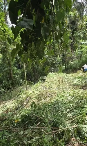 Land For Sale In Kegalle