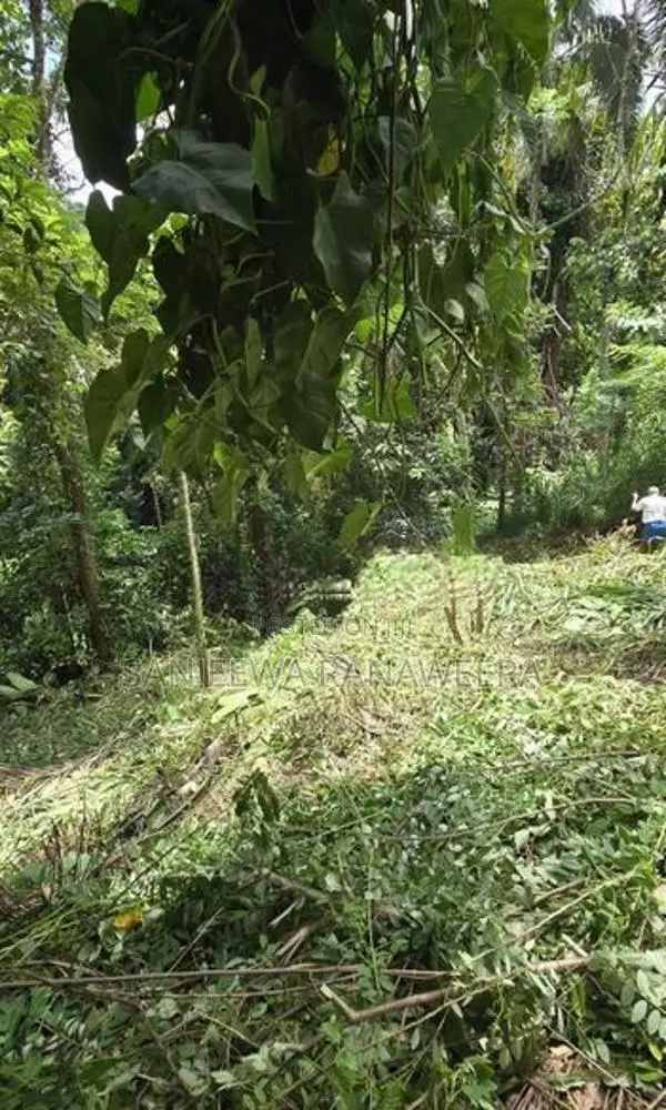 Land For Sale In Kegalle