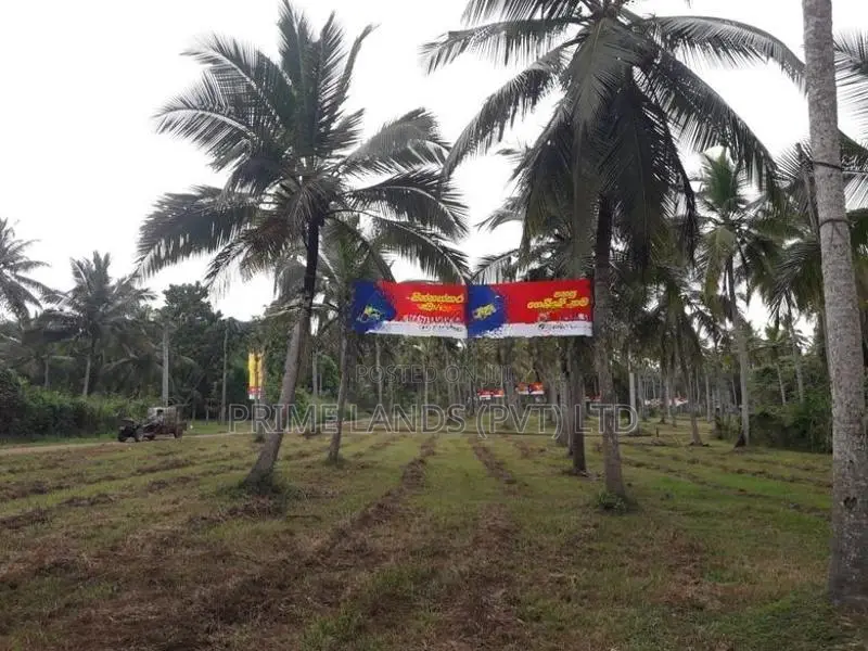 කුලියාපිටිය - බෝවත්ත බස් පාරින් ඉඩමක්