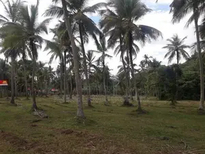 කුලියාපිටිය - බෝවත්ත බස් පාරින් ඉඩමක්
