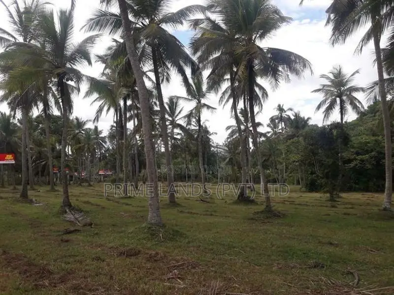 කුලියාපිටිය - බෝවත්ත බස් පාරින් ඉඩමක්