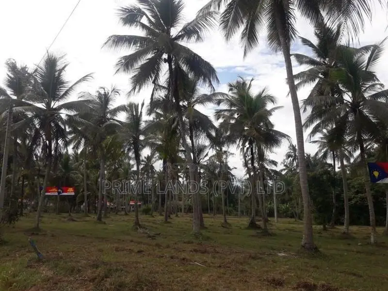 කුලියාපිටිය - බෝවත්ත බස් පාරින් ඉඩමක්