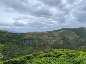 Commercial Land for Sale at Kandapola, Nuwara Eliya