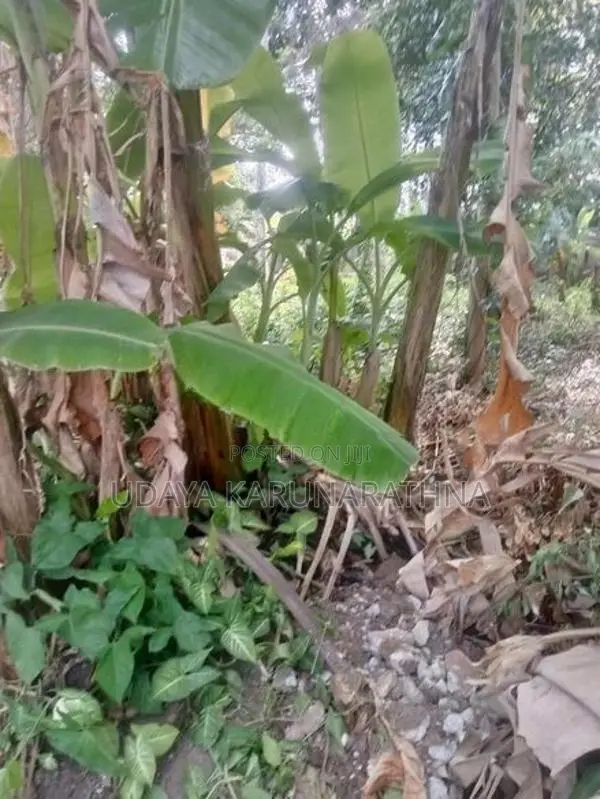 Land for Sale Gothatuwa