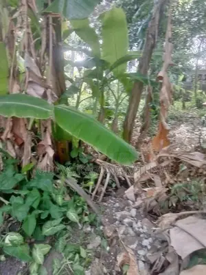 Land for Sale Gothatuwa