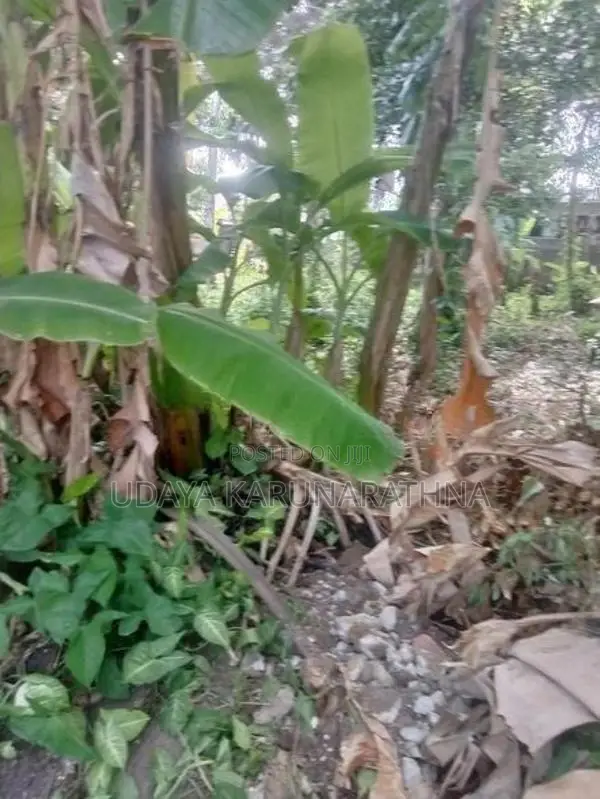Land for Sale Gothatuwa