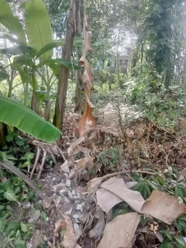 Land for Sale Gothatuwa