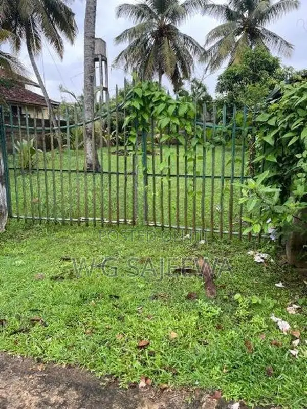 15 Perch Land for Sale Daluwakotuwa, Negombo