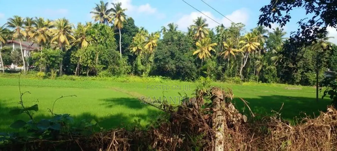 kiribathgoda- delgoda paddy field facing land for sale