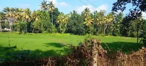 kiribathgoda- delgoda paddy field facing land for sale