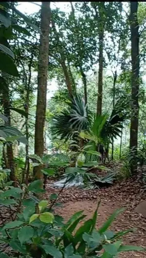 Land for Sale Kandy