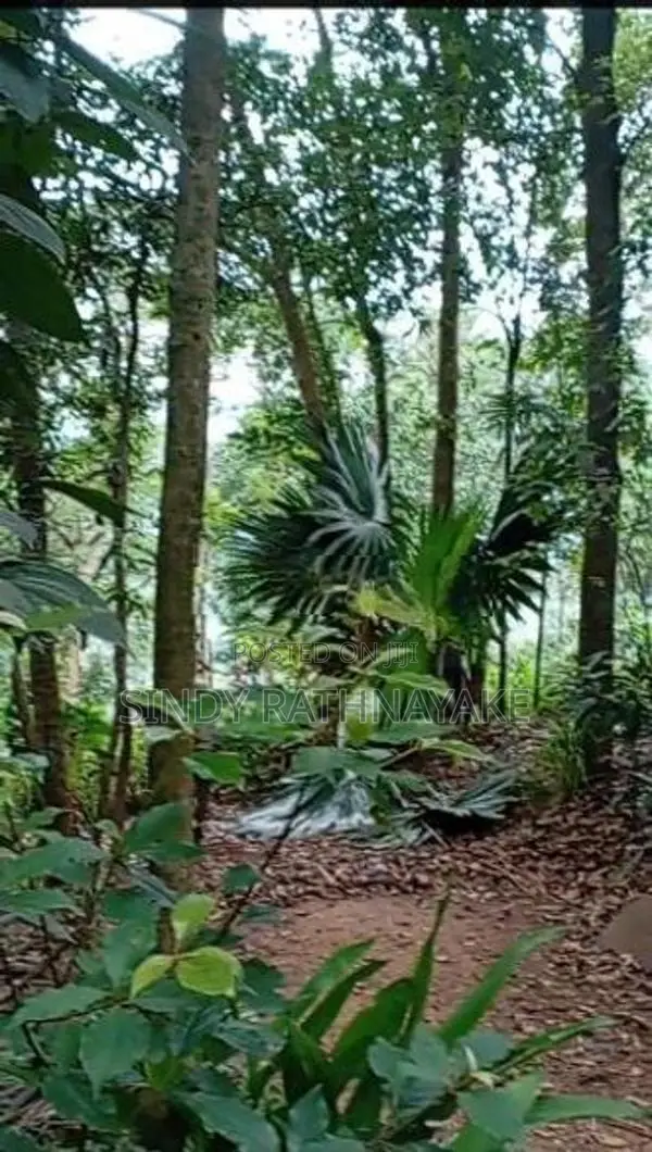 Land for Sale Kandy