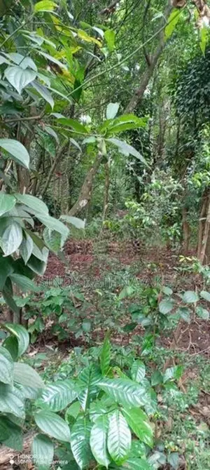 Land for Sale Kandy