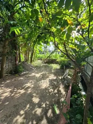 Valuable Land for Sale in Wattala Town Area