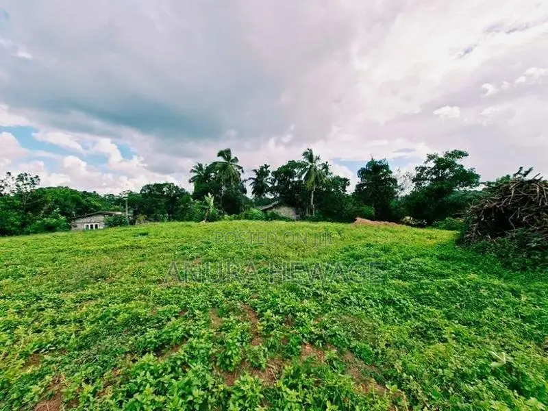 Land for Sale Diyagama, Magammana, Homagama. (ID : HMGA009)