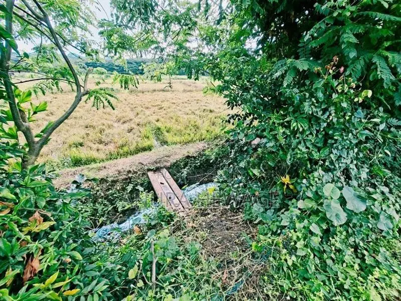 Land for Sale Diyagama, Magammana, Homagama. (ID : HMGA009)