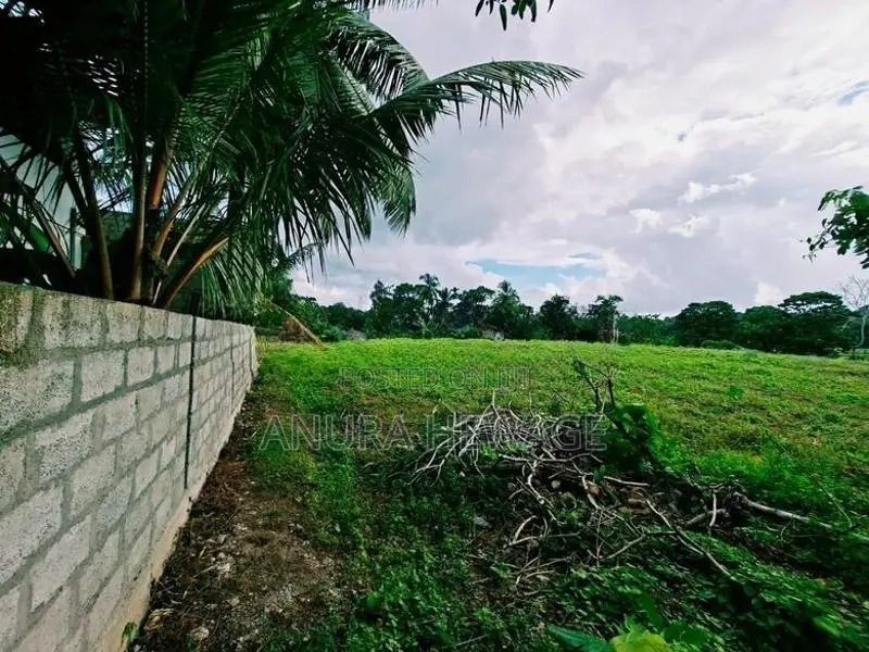 හෝමාගම, මාගම්මන, දියගම ප්‍රදේශයෙන් ඉඩමක් විකිණීමට ඇත. (ID : HMGA009S)
