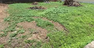 Land for Sale in Kiribathgoda
