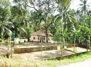 85 Perches of Land with Coconut Plantation for Sale