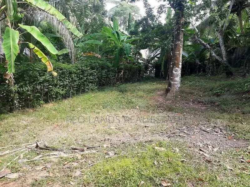 (AL278) 9 Perche Land for Sale in Homagama