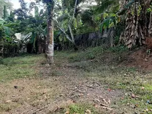 (AL278) 9 Perche Land for Sale in Homagama