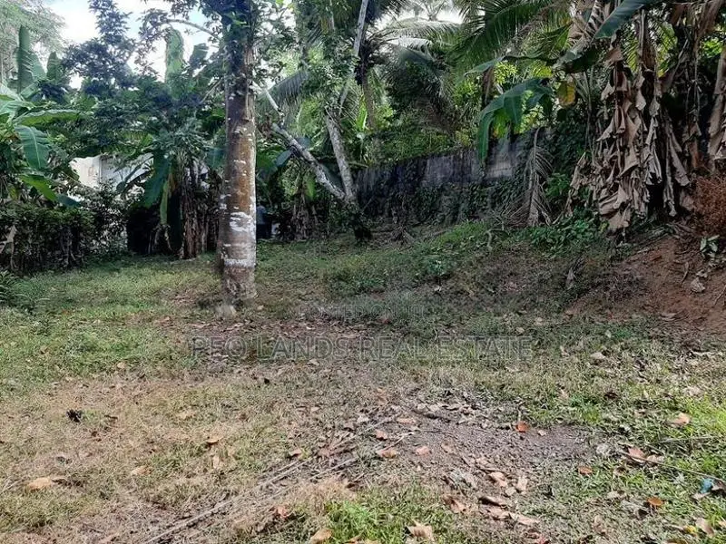 (AL278) 9 Perche Land for Sale in Homagama