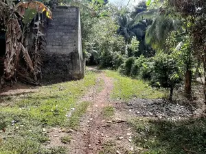 (AL278) 9 Perche Land for Sale in Homagama