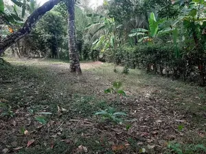 (AL278) 9 Perche Land for Sale in Homagama