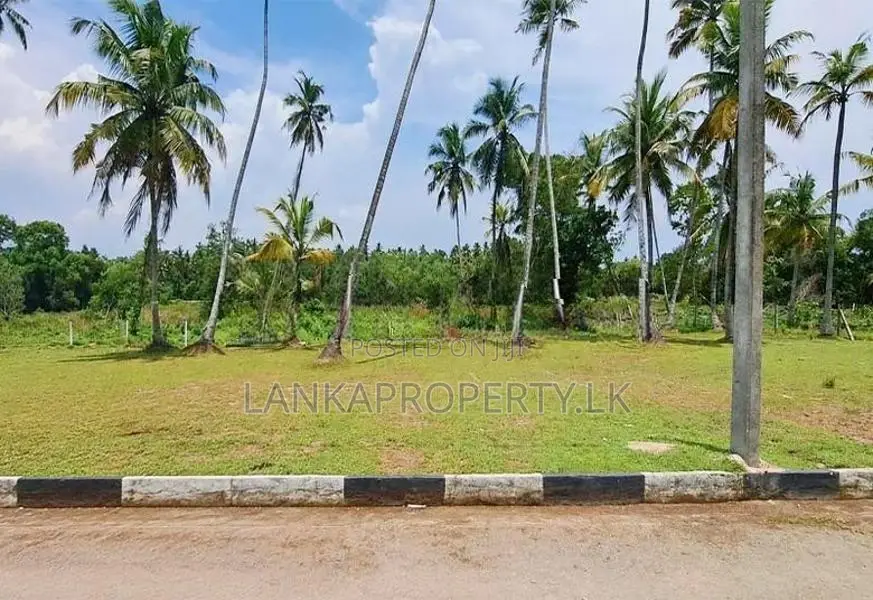 Prime 10 Perch Land for Sale in Katunayake.