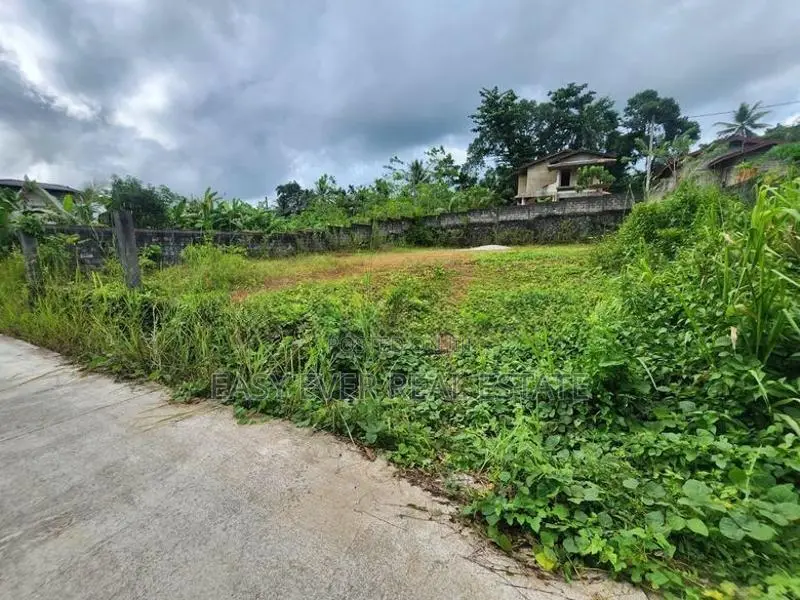 හොරණ – වරකාගොඩින් පදිංචියටත් ඉතා වටිනා බිම් කොටසක්