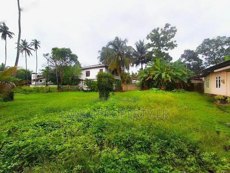 Prime Residential Land for Sale – Weligampitiya, Ja-Ela.