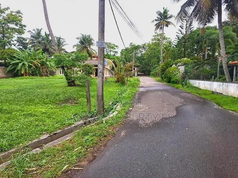 Prime Residential Land for Sale – Weligampitiya, Ja-Ela.