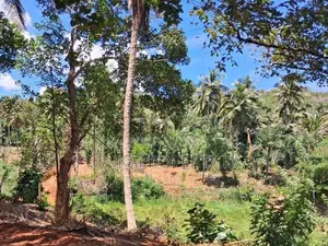 A Prime Residential Land for Sale in Naula (Arangala), Matale.