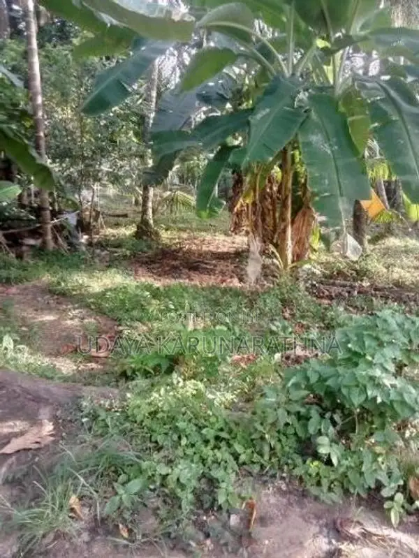 Land for Sale මල්වාන