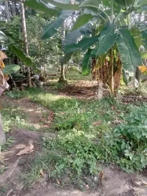 Land for Sale මල්වාන