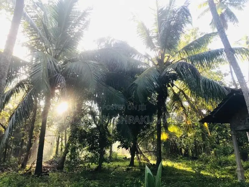 Land With Half Built House For Sale - Kuliyapitiya